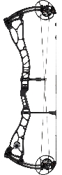 Bowtech Proven 34