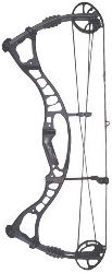 Hoyt Maxxis 31 Review