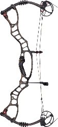 Hoyt Vector 35