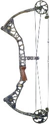 Mathews Drenalin