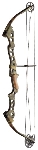 Bowtech Pro 38