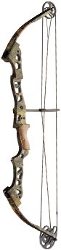 Bowtech Pro 40