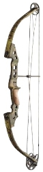 Bowtech Samson