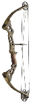 Bowtech Tech 29