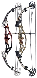 Hoyt Havoc