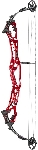 Hoyt Podium X Elite 37