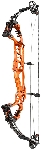 Hoyt Pro Comp Elite FX