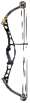 Hoyt Vantage Elite