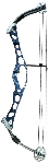 Hoyt Vantage Pro
