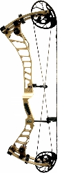 Martin DSX 31