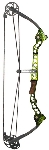 Mathews Ovation