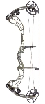 Obsession Evolution 7